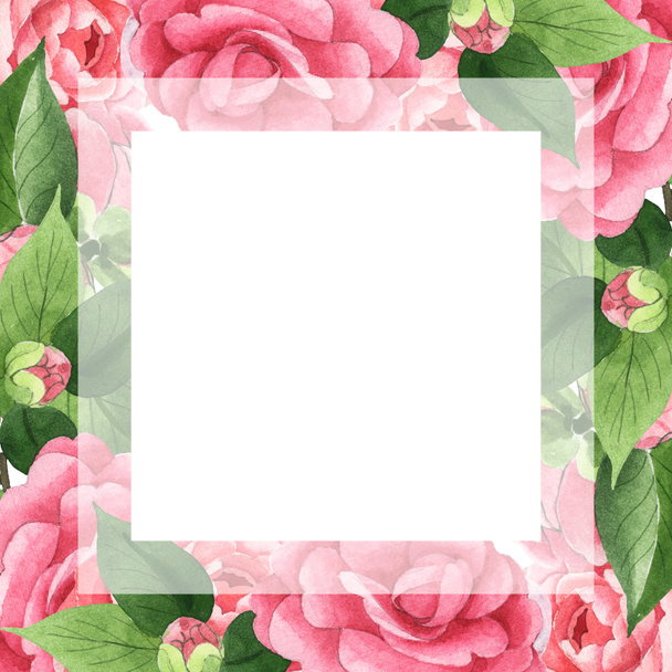 Pink camellia flowers with green leaves isolated on white. Watercolor background illustration set. Empty frame with copy space. - Photo, Image