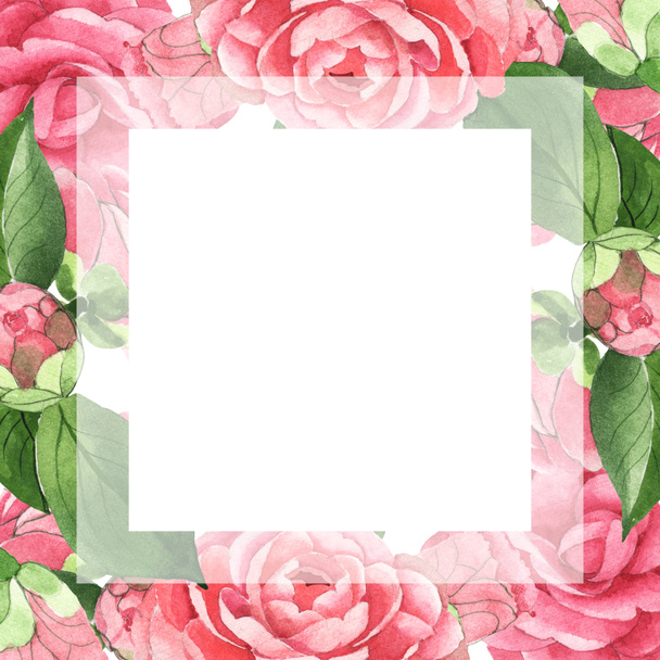 Pink camellia flowers with green leaves isolated on white. Watercolor background illustration set. Empty frame with copy space. - Fotoğraf, Görsel