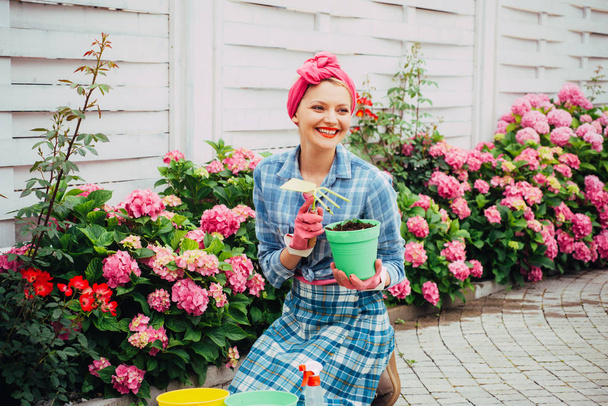happy woman gardener with flowers. Flower care and watering. soils and fertilizers. Greenhouse flowers. woman care of flowers in garden. hydrangea. Spring and summer. Hydrangea bed - Foto, imagen