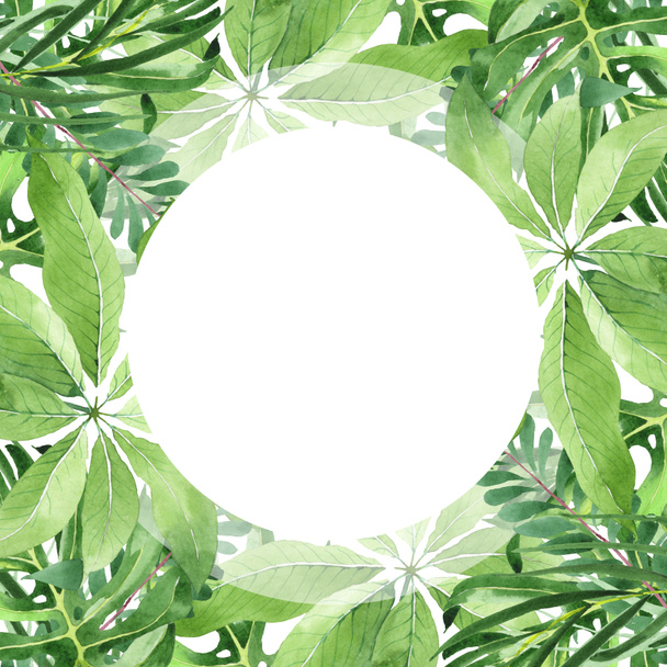 Hojas exóticas de palma verde hawaiana tropical aisladas en blanco. Conjunto de fondo acuarela. Marco con espacio de copia
. - Foto, Imagen