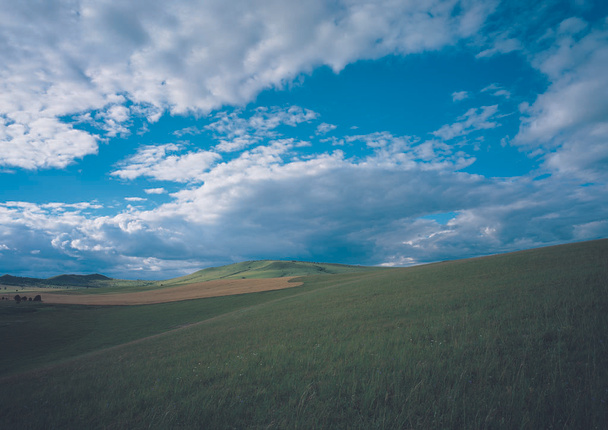 krajobraz zielonego pola trawy  - Zdjęcie, obraz