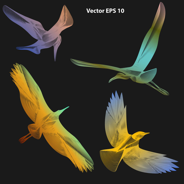 set of abstract flying birds on dark background, isilated - Вектор,изображение