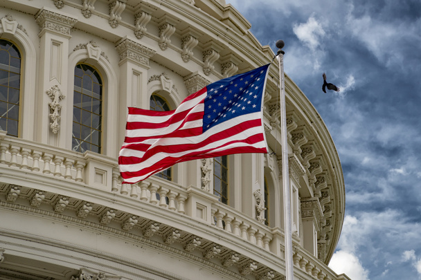 Washington Dc capitol dalgalı bayrak ile - Fotoğraf, Görsel