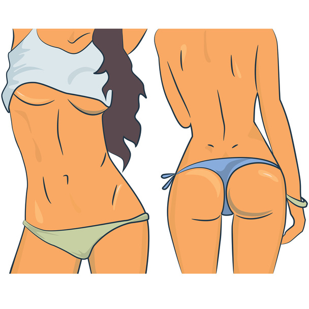 Hermosos cuerpos de mujer en bikini vector
 - Vector, imagen