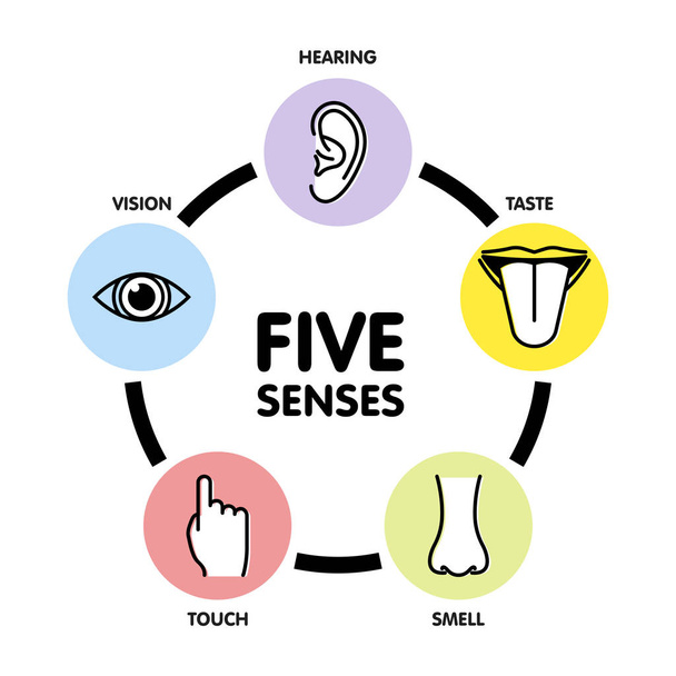 Öt érzékeli a vonal ikonok. Emberi fül és a szem szimbólumok, az orr és a száj szerkezeti jelek vektor - Vektor, kép