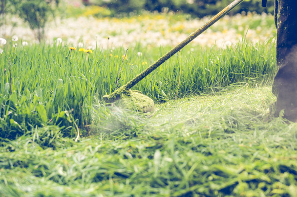 Taglio erba con un trimmer erba professionale
 - Foto, immagini
