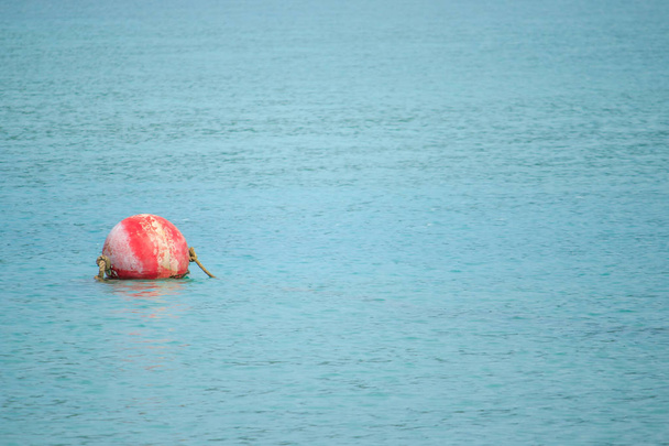 Buoy pływających w morzu używane do wyrównania w morzu - Zdjęcie, obraz