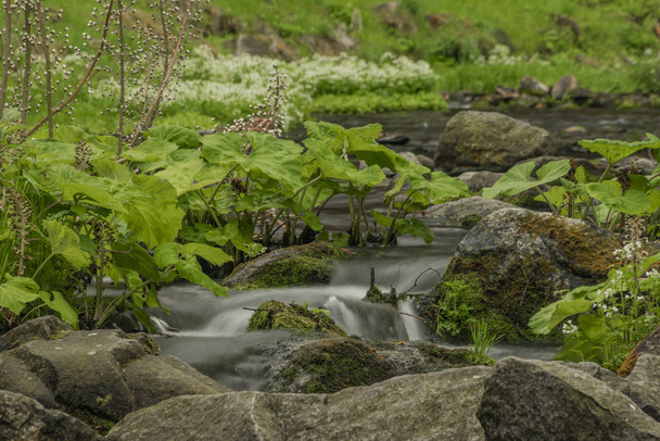 Frühling kleiner Fluss olesnice in der Nähe von zlate hory Stadt - Foto, Bild