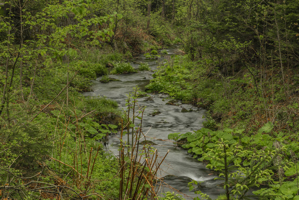 Primavera pequeno rio Olesnice perto de Zlate Hory cidade
 - Foto, Imagem