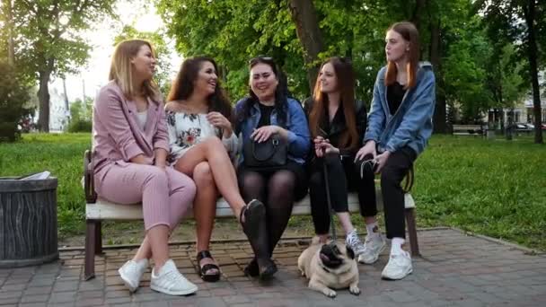 Skupina dívek, které mluví a smějí se v parku na lavičce s pugovým psem - Záběry, video