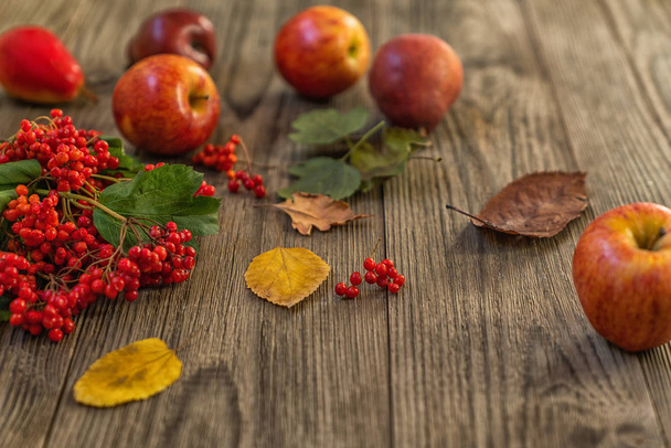 Autumn background with seasonal autumn nature berries, apples and colorful leaves on the wooden background. Autumn concept. - Фото, изображение