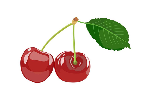 Icon érett cseresznye és meggy. Vörös bogyós gyümölcsök. Vektoros illusztráció - Vektor, kép