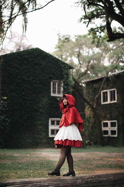 Retrato jovem mulher com Little Red Riding Hood traje em gree
 - Foto, Imagem