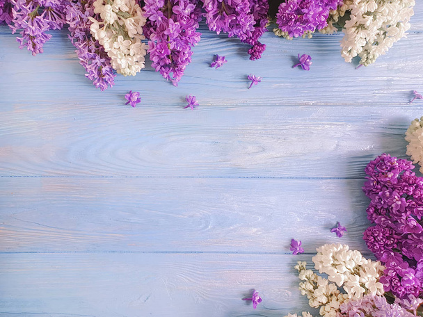 бузкова квітка на синій дерев'яній фоновій рамці
 - Фото, зображення