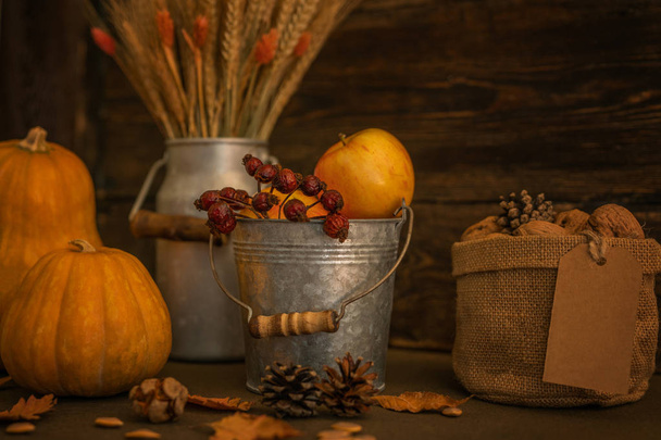 Beautiful autumn cozy still life. Pumpkins, autumn leaves, apples and ears of wheat on wooden background. Vintage decorative background with fall vegetables. Harvest time concept. Soft focus. Toned image. - Foto, imagen