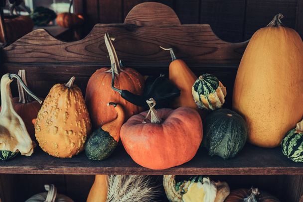 Autumn harvest for sale at patch. Rustic background with different pumpkins. Happy Thanksgiving Day concept. Halloween. Vintage wooden shelf decorated with pumpkins. American farm and barns at autumn. - Фото, изображение