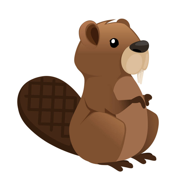 Cute brown beaver sitting. Cartoon character design. North American beaver Castor canadensis. Rodentia mammals. Happy animal. Flat vector illustration isolated on white background. Front view - Vector, Image