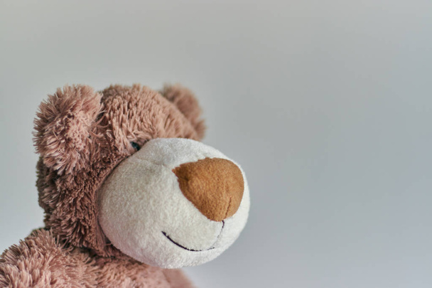 Teddy bearchildren's toy teddy bear isolated on a light background. closeup of a teddy bear's head. - Photo, image
