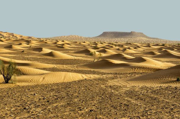 Krajobraz Ripples pustynnych wydm na Saharze, Tunezja - Zdjęcie, obraz