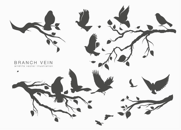 Rysunek zestaw stada ptaków latających na gałęzi drzew - Wektor, obraz