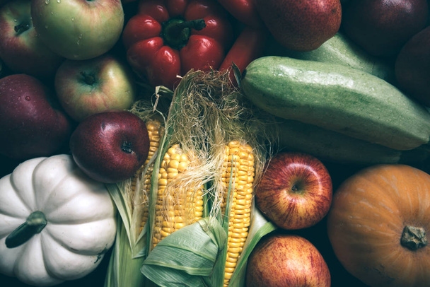 Healthy vegan and vegetarian food. Diet eating concept. Vintage toned image. - Фото, изображение