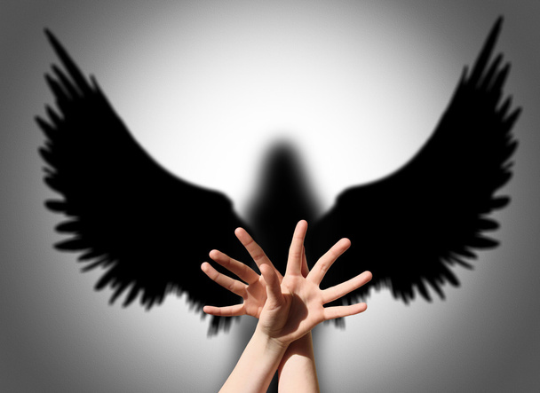 Hands shadow like wings - Photo, Image