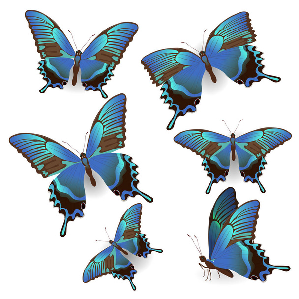 Állítsa be a kék reális vitorlás pillangók elszigetelt fehér háttér. Vektorkép. A design az esküvői meghívók, bannerek, szórólapok, matricák és - Vektor, kép