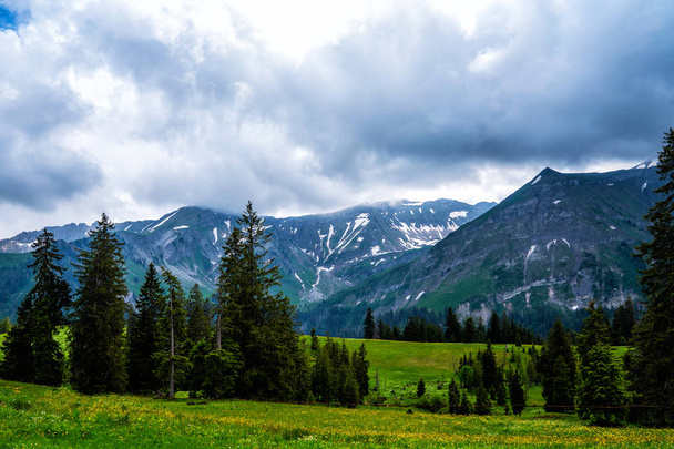 Paysage printanier alpin avec des sommets couverts de neige et de nuages. Vue de paysages de montagne idylliques dans les Alpes suisses avec des prairies verdoyantes fraîches par une belle journée de printemps
. - Photo, image