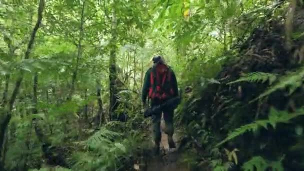 Tourist man walking on pathway hiking in tropical rainforest back view. Traveling man with backpack going in wild jungle tracking shot. Tourism and hike. - 映像、動画