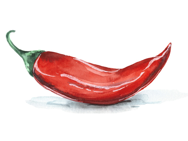 Akvarel chilli pro vaše kuchařky, karty, menu a další nápady - Fotografie, Obrázek