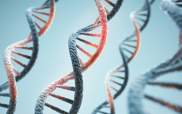 Biokemian käsite DNA-molekyylillä, Tieteellinen tai lääketieteellinen tausta
. - Valokuva, kuva
