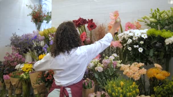 Επαγγελματίας ανθοπώλης επιλογή λουλούδια για ανθοδέσμη - Πλάνα, βίντεο