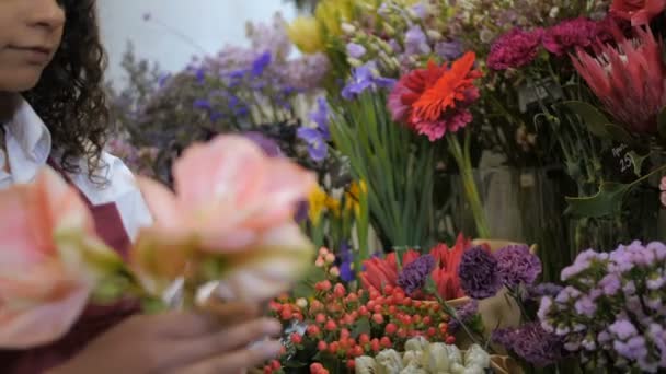 Θηλυκό ανθοπώλη χέρι κρατώντας επιλεγμένα φρέσκα λουλούδια - Πλάνα, βίντεο