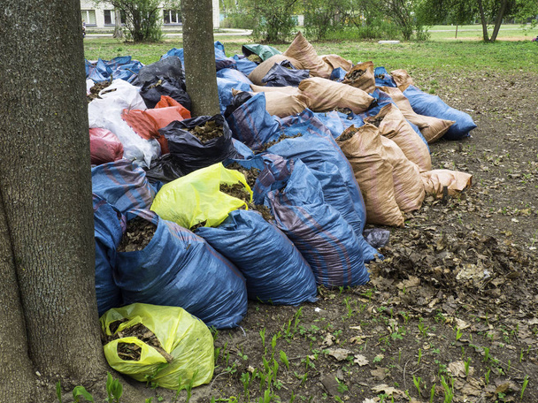 sacs en plastique de couleur des ordures sont sur le terrain de jeu au printemps à l'extérieur. Protection de l'environnement, collecte des ordures
 - Photo, image