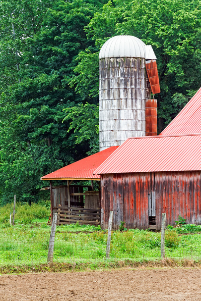witte silo en rode schuur - Foto, afbeelding