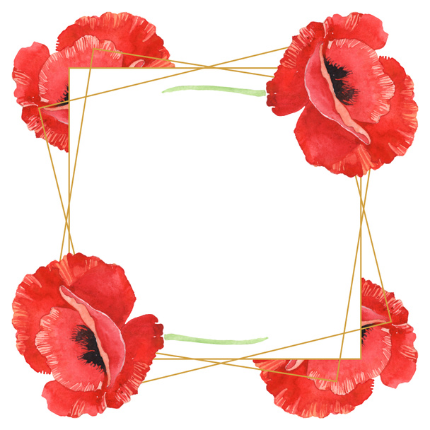 Red poppies isolated on white. Watercolor background illustration set. Frame with flowers and copy space. - Foto, Bild