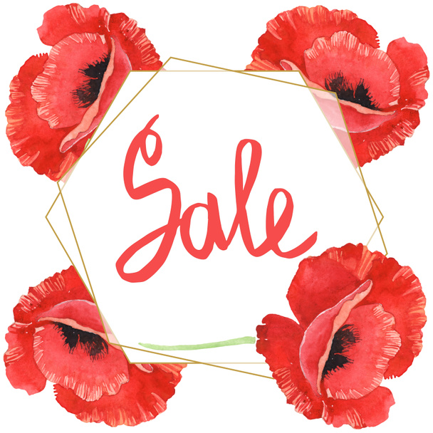 Red poppies isolated on white. Watercolor background illustration set. Frame with flowers and sale lettering. - Photo, Image