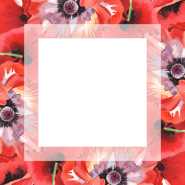 Red poppies isolated on white. Watercolor background illustration set. Frame with flowers and copy space. - Valokuva, kuva