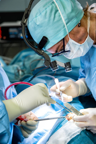 Kirurgi leikkaa sairaalan leikkaussalissa. Kirurgi naamiossa yllään loupes aikana lääketieteellisen hankinnan
. - Valokuva, kuva