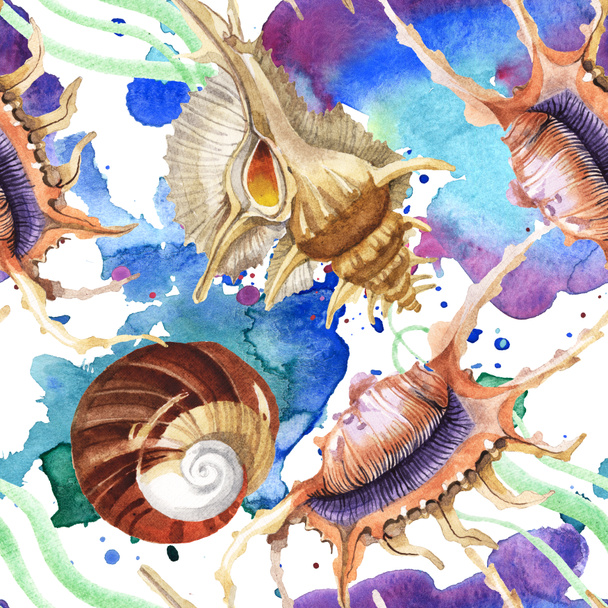 Folytonos háttérmintázat. Trópusi tengeri kagylókból Zöld hínár. Akvarell háttérillusztráció-készlet.  - Fotó, kép
