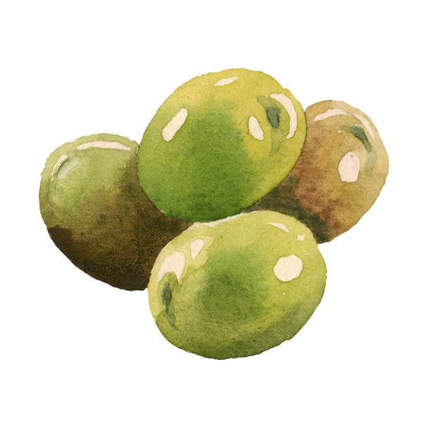 frische Oliven isoliert auf weißem Aquarell Hintergrund Illustrationselemente - Foto, Bild
