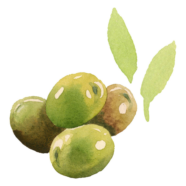 frische Oliven mit grünen Blättern isoliert auf weißem Aquarell Hintergrund Illustrationselemente - Foto, Bild