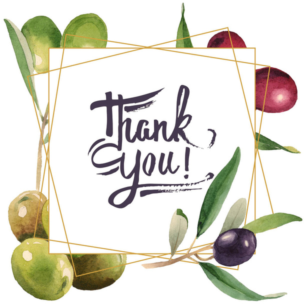Fresh olives with green leaves isolated on white watercolor background illustration. Frame ornament with thank you lettering. - Zdjęcie, obraz