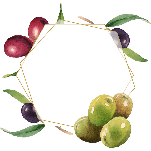 Fresh olives with green leaves isolated on white watercolor background illustration. Frame ornament with copy space. - Foto, Imagen