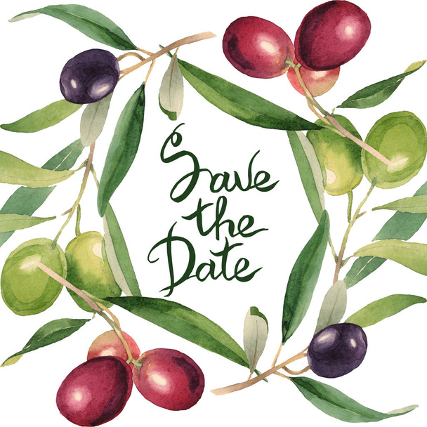 Fresh olives with green leaves isolated on white watercolor background illustration. Frame ornament with save the date lettering. - Photo, Image