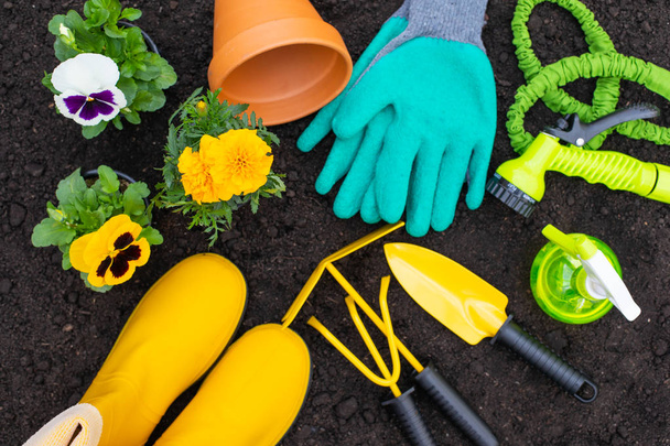 Gardening tools - top view - Foto, Imagen