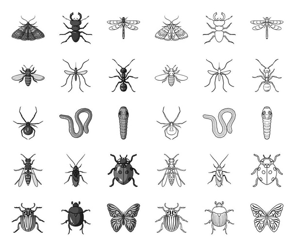 Different kinds of insects mono,outline icons in set collection for design. Insect arthropod vector symbol stock web illustration. - Вектор,изображение