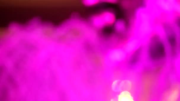 verschwommenes Licht Regenbogenfontäne kann Farbe ändern, indem Zeit eingerichtet - Filmmaterial, Video