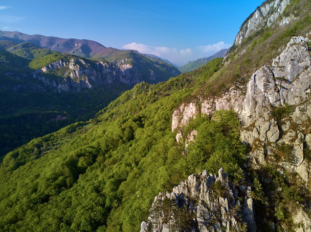 High aerial landscape with mountains and forests - Φωτογραφία, εικόνα