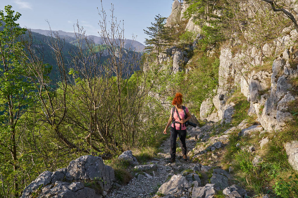 Active woman on a hiking trail in forest - Foto, afbeelding